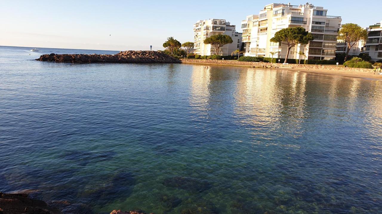 Garden And Beach Sea View Apartment Cannes Mandelieu Exteriör bild